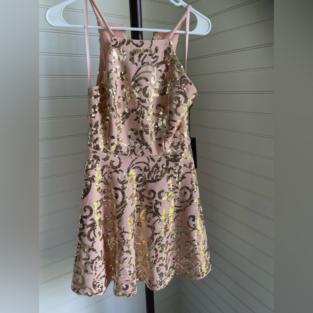 NWT City Triangles Pink Pleated A-line Dress